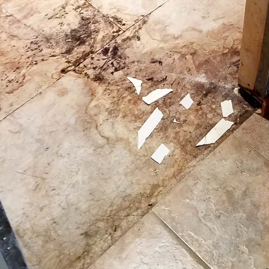 Improper prep leads to failure. This cracked and shifting floor is exactly what Esox Custom Tiling is brought in to correct. We don’t cover up mistakes—we replace them with craftsmanship that lasts.
